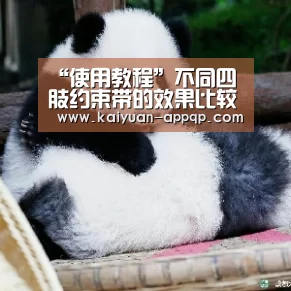 “使用教程”不同四肢约束带的效果比较(图1) 客户端安装