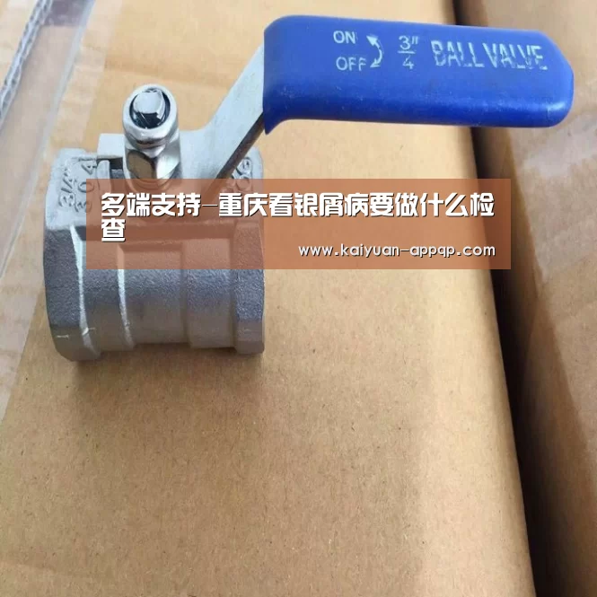 使用教程