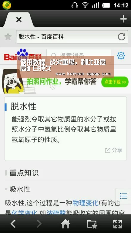 多端支持