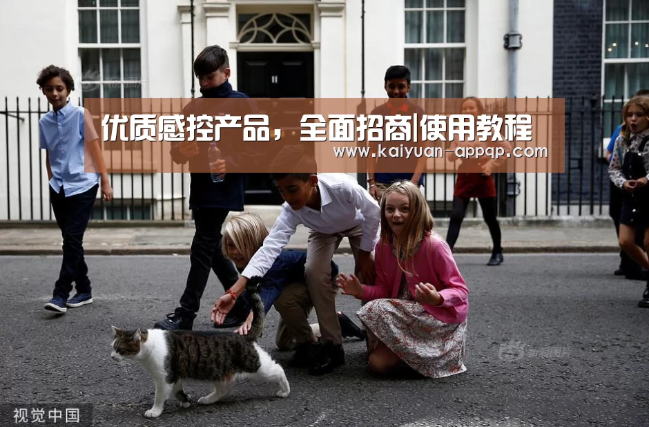 客户端安装