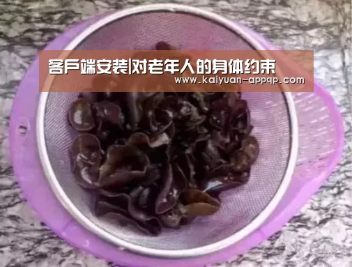 客户端安装|对老年人的身体约束(图4) 客户端安装